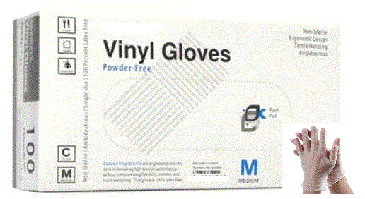 Vinyl General Purpose Powder Free Gloves (Case of 1,000)
